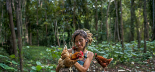 Similar image 22121150