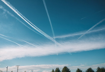 Similar image 22115402