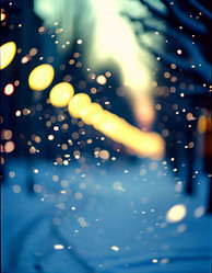 Similar image 22100540