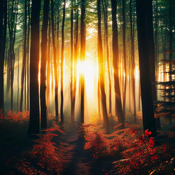 Similar image 22115406