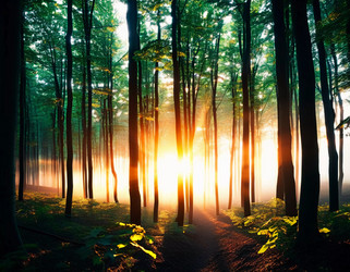 Similar image 22115407