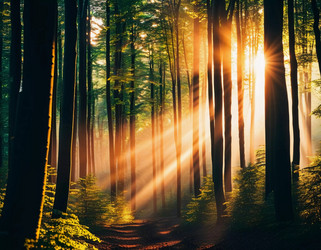 Similar image 22115410