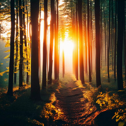 Similar image 22115848