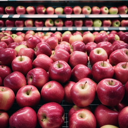 Similar image 22116093