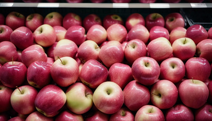 Similar image 22116496