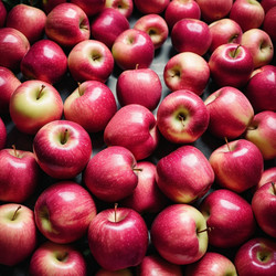 Similar image 22118339