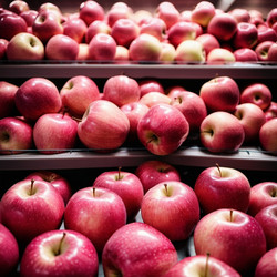 Similar image 22118340