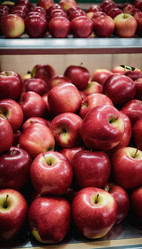 Similar image 22100555