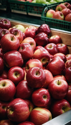 Similar image 22100557