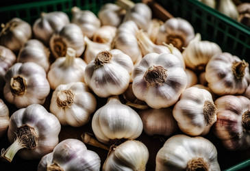 Similar image 22110364