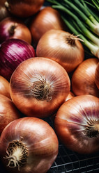 Similar image 22110655