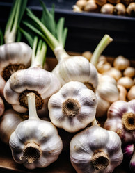 Similar image 22113997