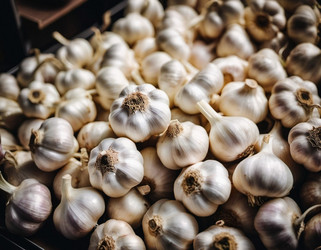 Similar image 22115449