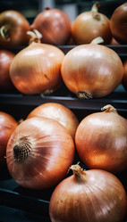 Similar image 22116097