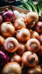 Similar image 22116500