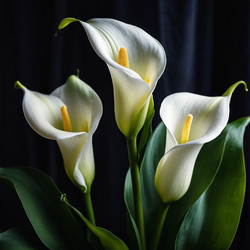 Similar image 22115862