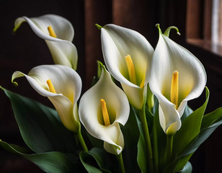 Similar image 22116102