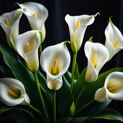 Similar image 22116501