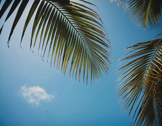 Similar image 22118730