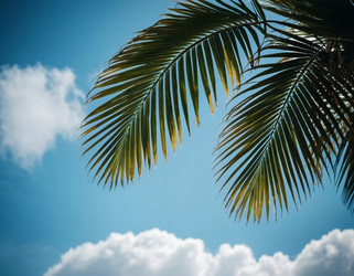 Similar image 22118731