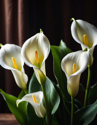 Similar image 22118868