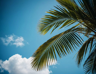 Similar image 22118961