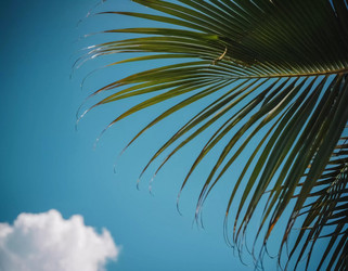 Similar image 22119225