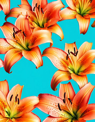 Similar image 22115867