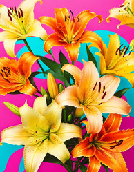 Similar image 22115955