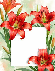 Similar image 22110664