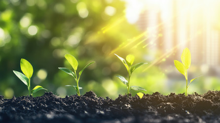 Similar image 22108577