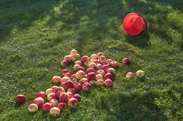 Similar image 22125668