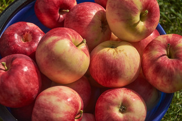 Similar image 22125669