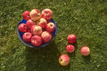 Similar image 22125670