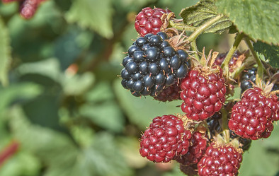 Similar image 22125674