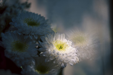 Similar image 22109301