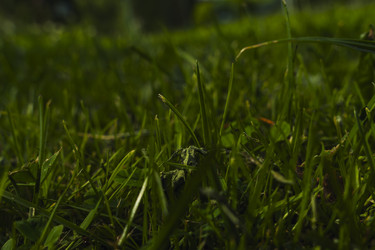 Similar image 22113600