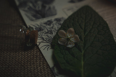 Similar image 22115210