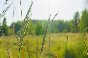 Similar image 22117284