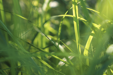 Similar image 22117289