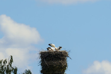 Similar image 22117293