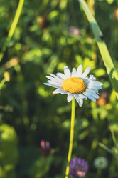 Similar image 22117301