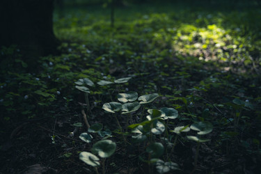 Similar image 22117313