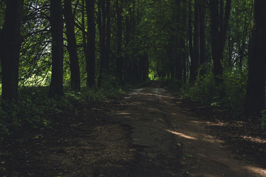 Similar image 22117328