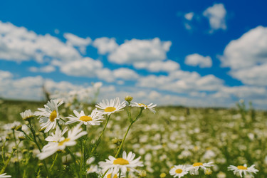 Similar image 22113470