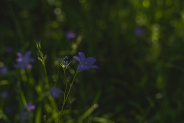 Similar image 22096711