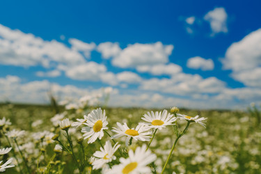 Similar image 22109319