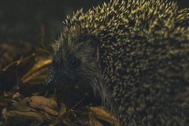 Similar image 22109321