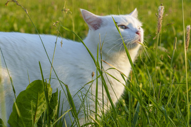 Similar image 22117342