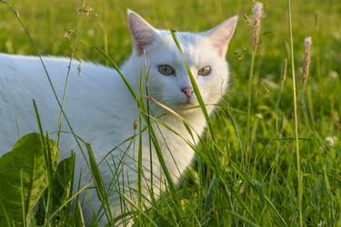 Similar image 22117349